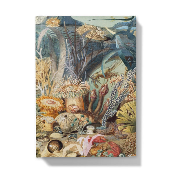 Ocean Life Hardback Journal