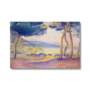 Pines Along the Shore Eco Canvas