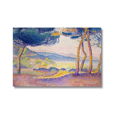 Pines Along the Shore Eco Canvas