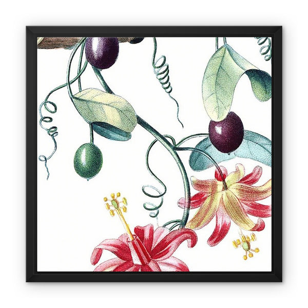 Passionvine Framed Canvas