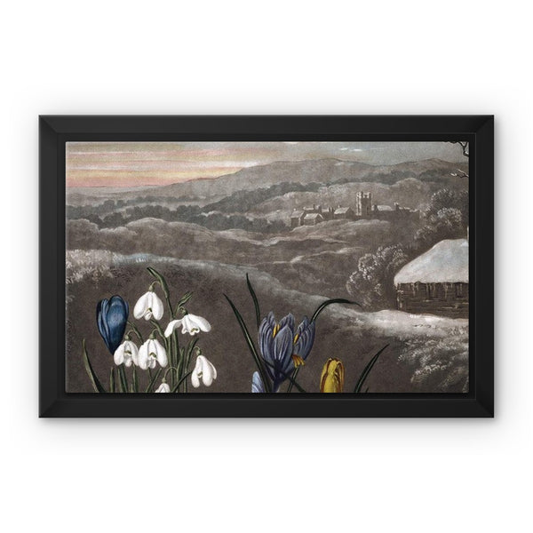 Snowdrops Framed Canvas