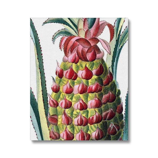 Pineapple Canvas