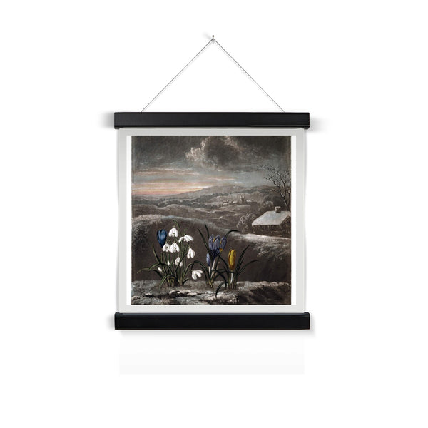 Snowdrops Fine Art Print with Hanger