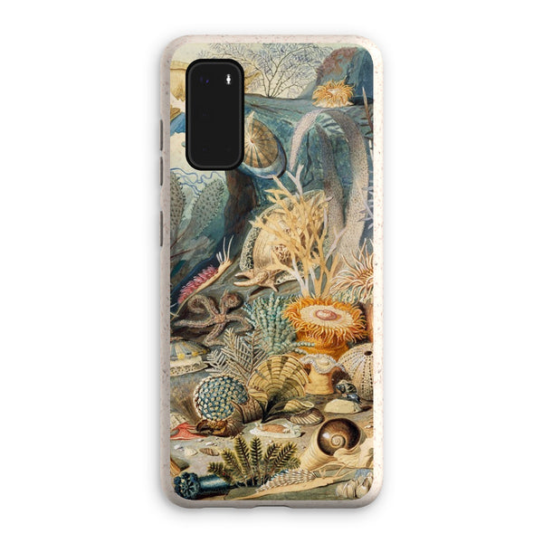 Ocean Life Eco Phone Case