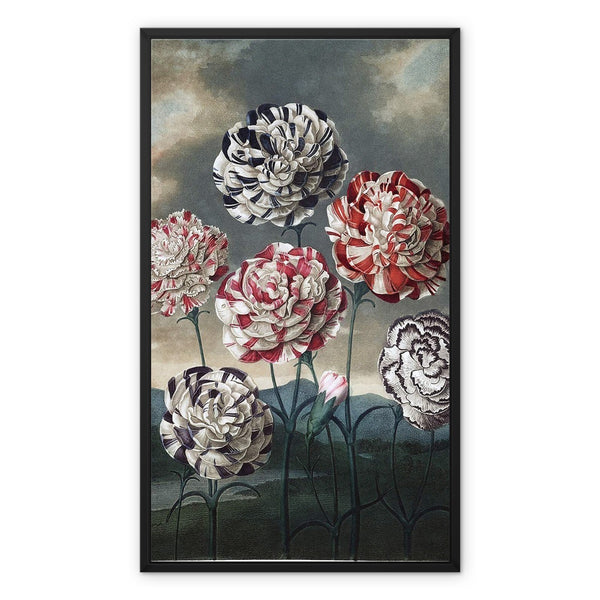 Carnations Framed Canvas