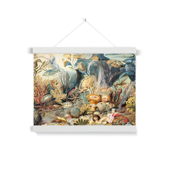 Ocean Life Fine Art Print with Hanger