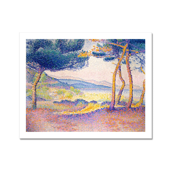 Pines Along the Shore Fine Art Print