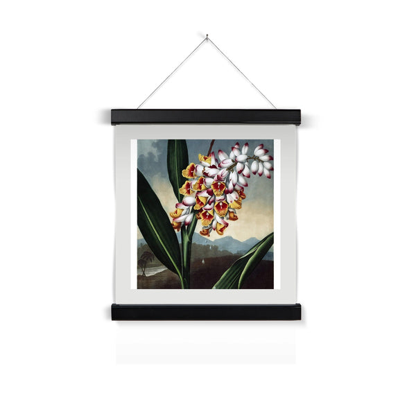 The Nodding Renealmia Fine Art Print with Hanger