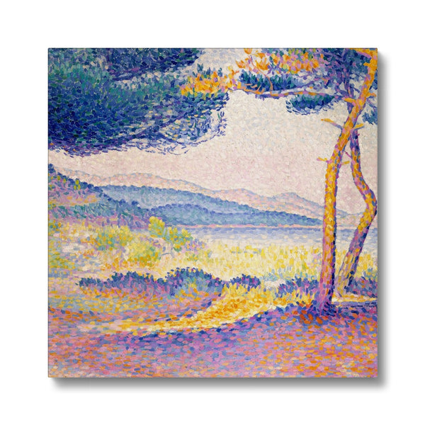 Pines Along the Shore Eco Canvas