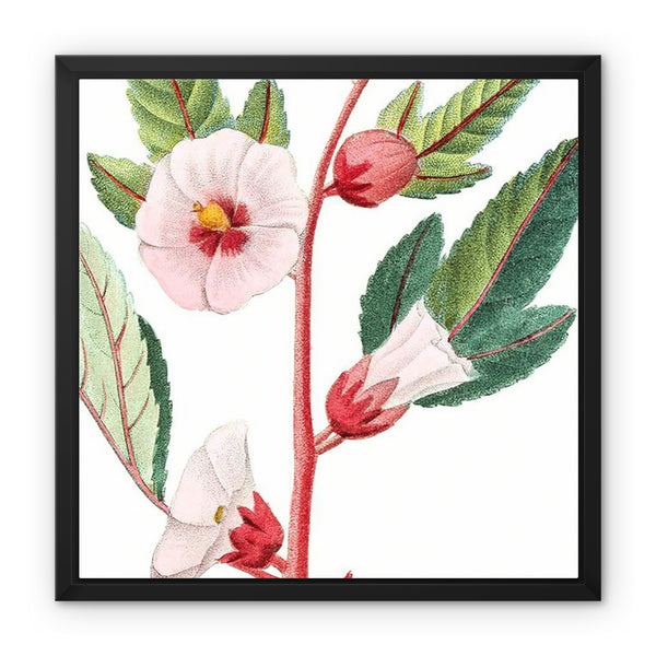 Roselle Framed Canvas