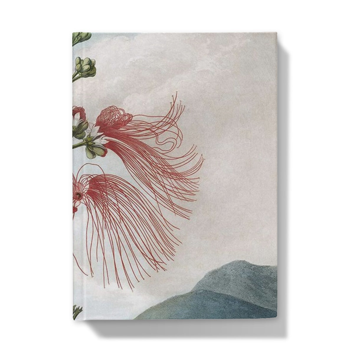 Calliandra Houstoniana Hardback Journal