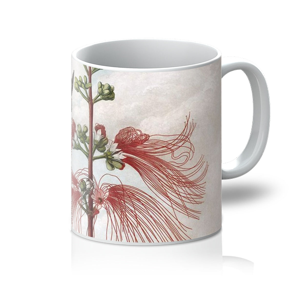 Calliandra Houstoniana Mug