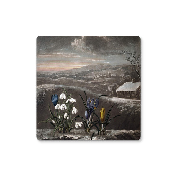 Snowdrops Coaster