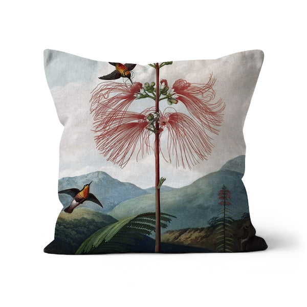 Calliandra Houstoniana Cushion