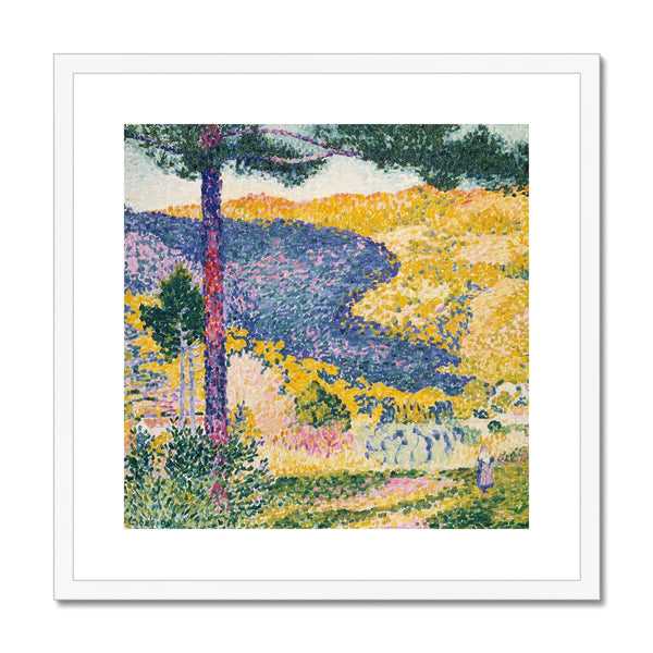 Shade on the Mountain Framed & Mounted Print