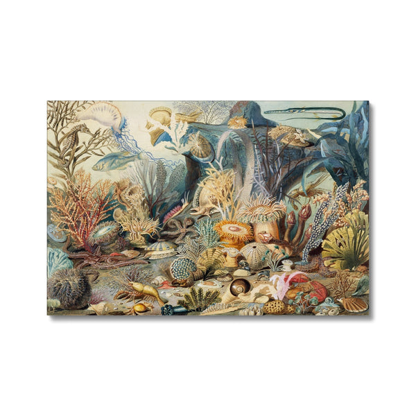 Ocean Life Canvas