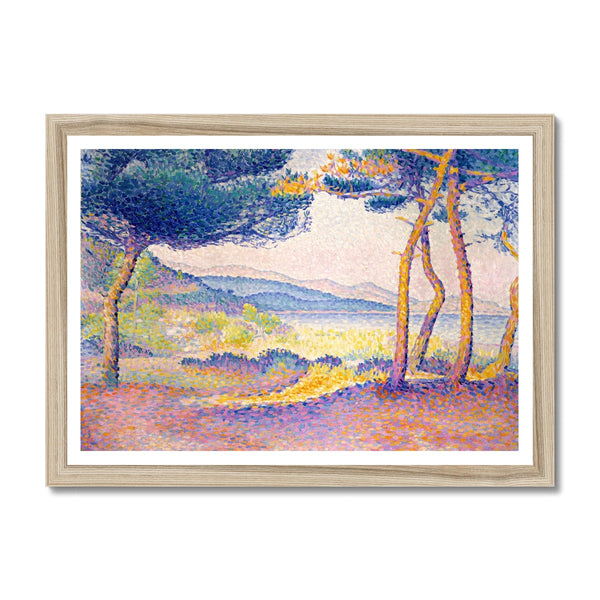 Pines Along the Shore Framed Print