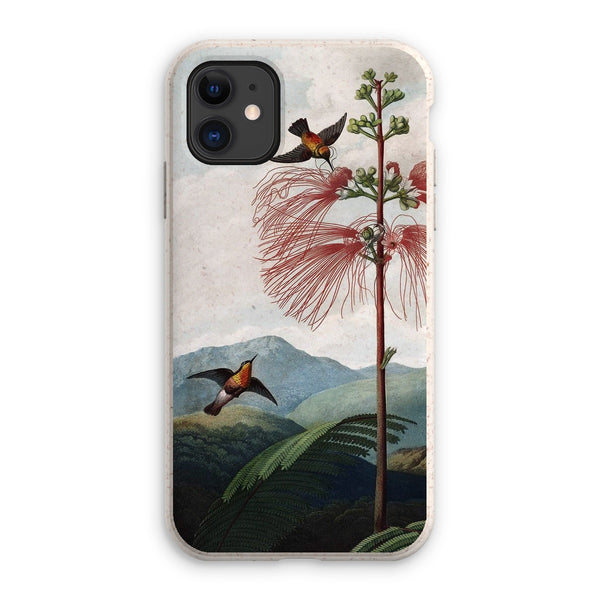 Calliandra Houstoniana Eco Phone Case