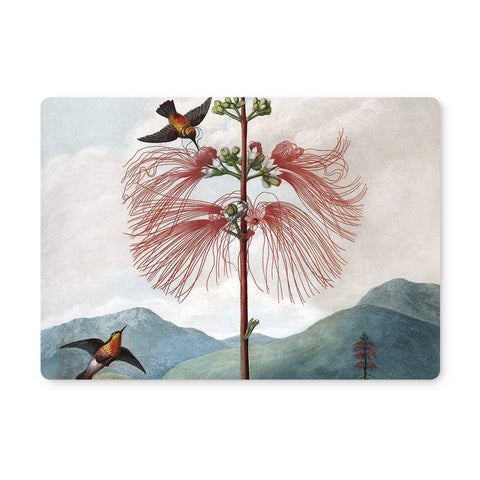 Calliandra Houstoniana Placemat