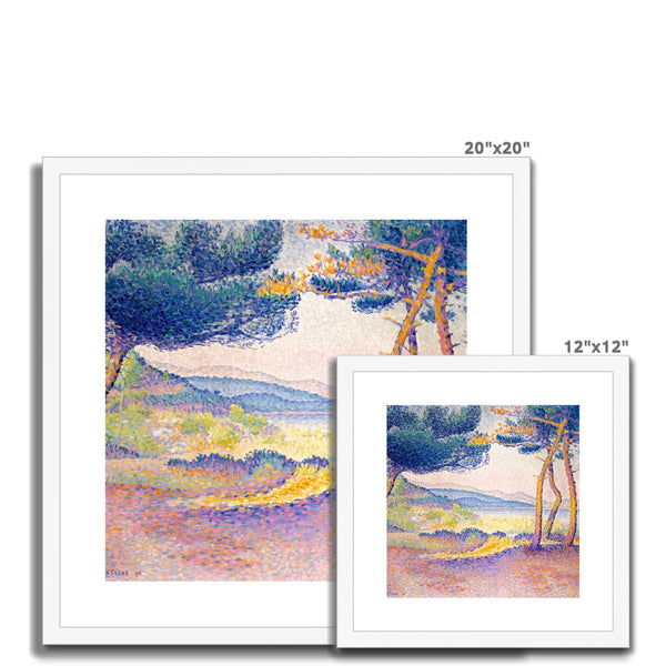 Pines Along the Shore Framed & Mounted Print