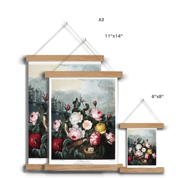 Roses Fine Art Print with Hanger