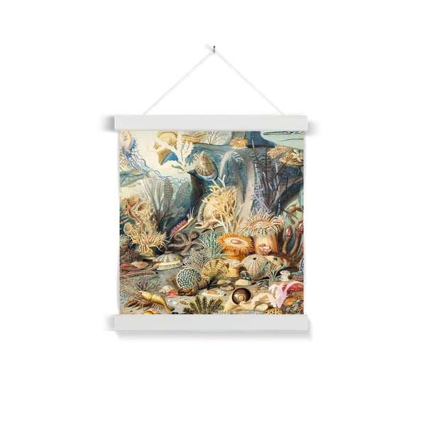 Ocean Life Fine Art Print with Hanger