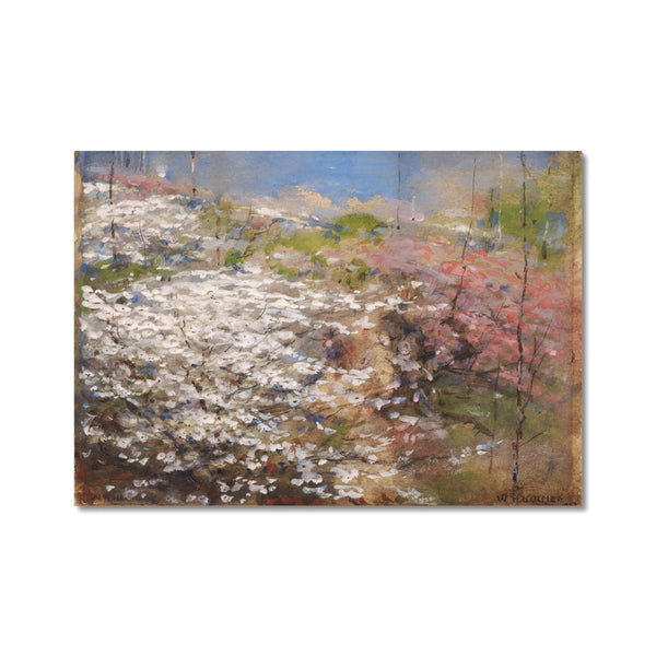 Field of Blossoms Fine Art Print