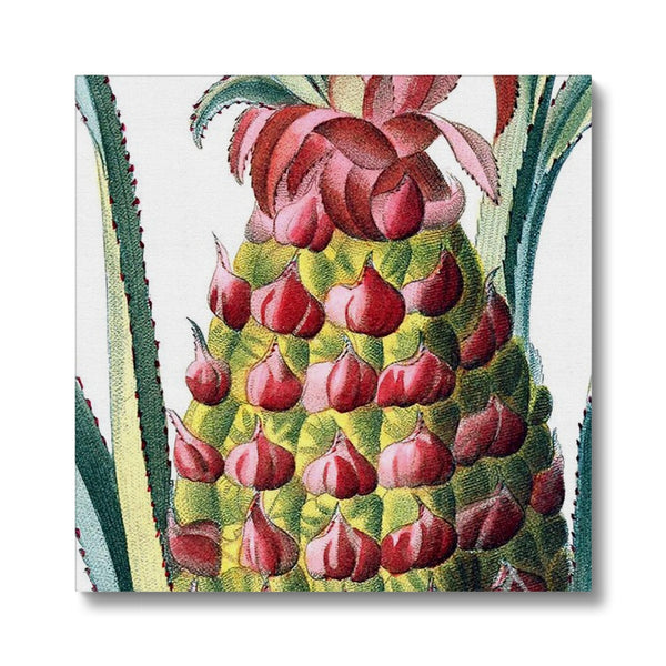 Pineapple Canvas