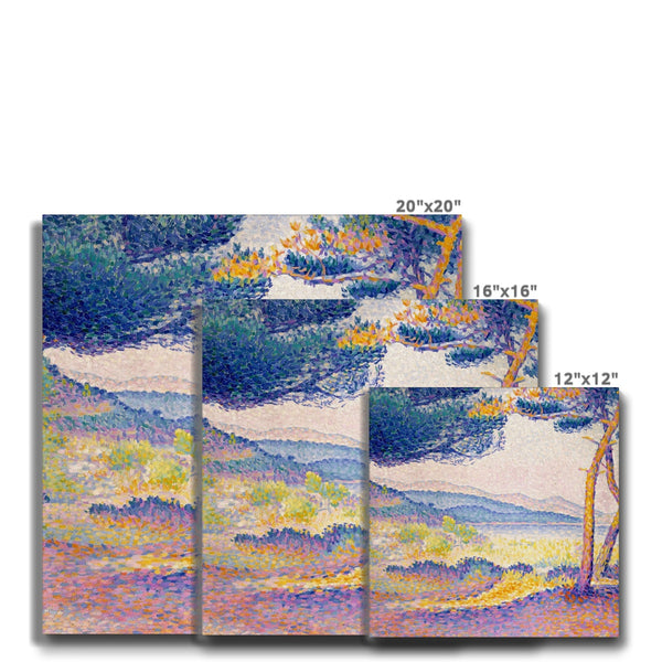 Pines Along the Shore Eco Canvas