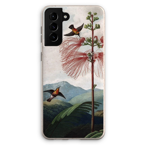 Calliandra Houstoniana Eco Phone Case