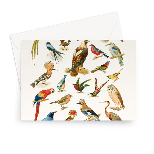 Birds of Paradise Greeting Card