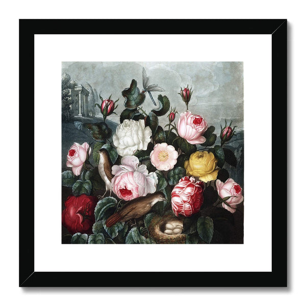 Roses Framed & Mounted Print