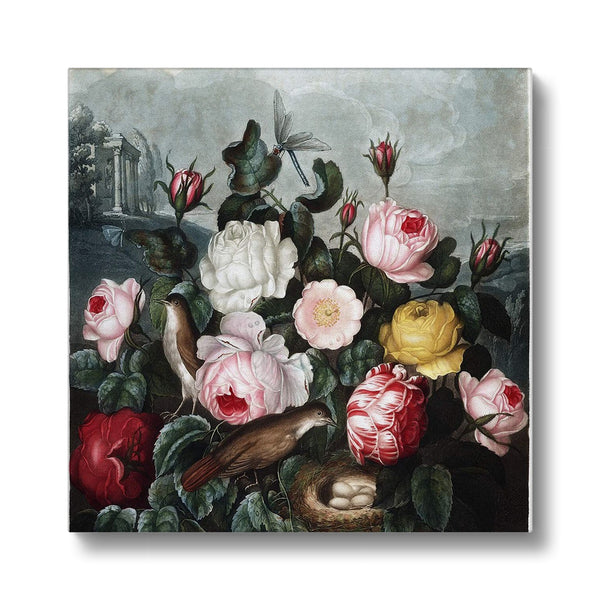 Roses Canvas