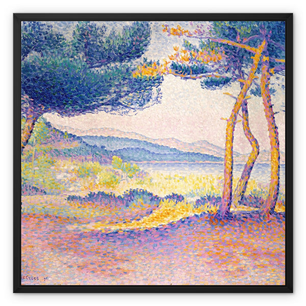 Pines Along the Shore Framed Canvas