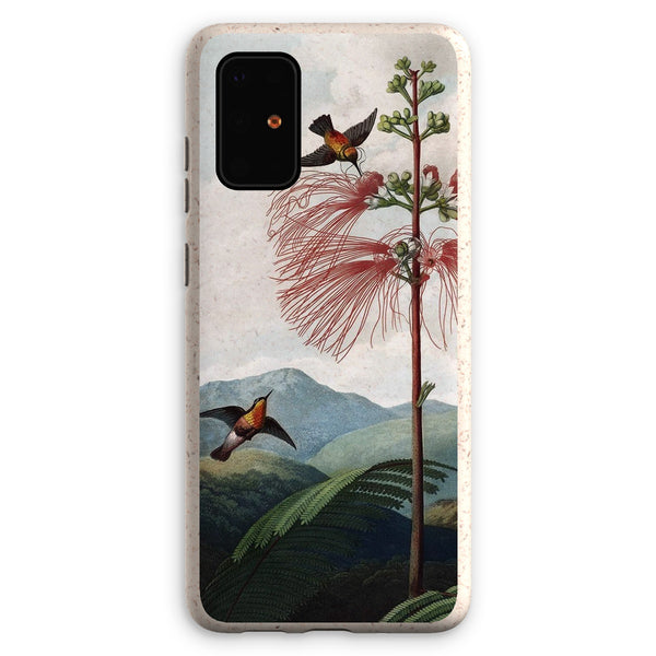 Calliandra Houstoniana Eco Phone Case