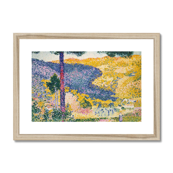 Shade on the Mountain Framed & Mounted Print