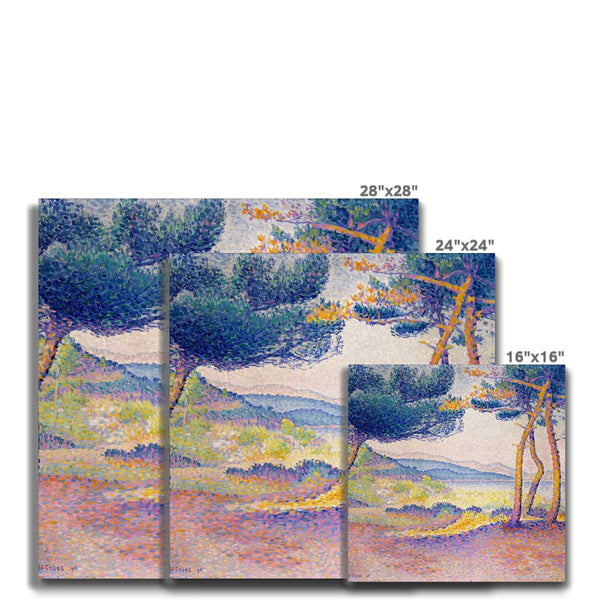 Pines Along the Shore Canvas