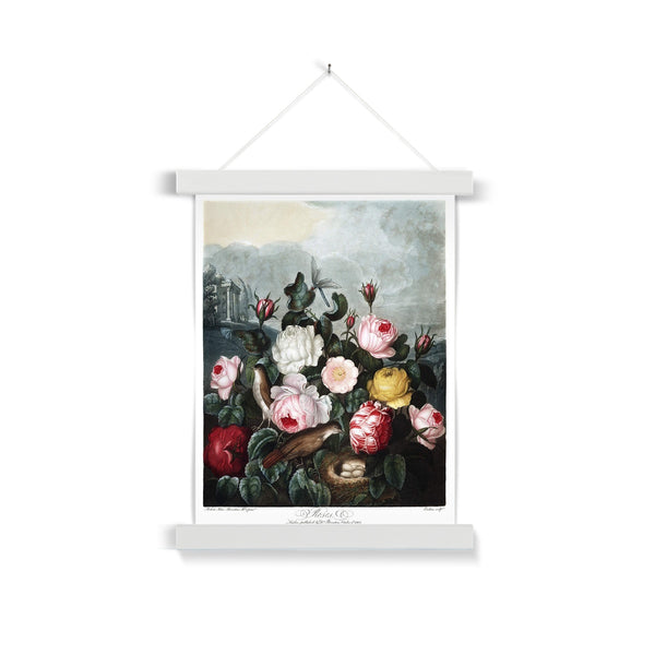 Roses Fine Art Print with Hanger