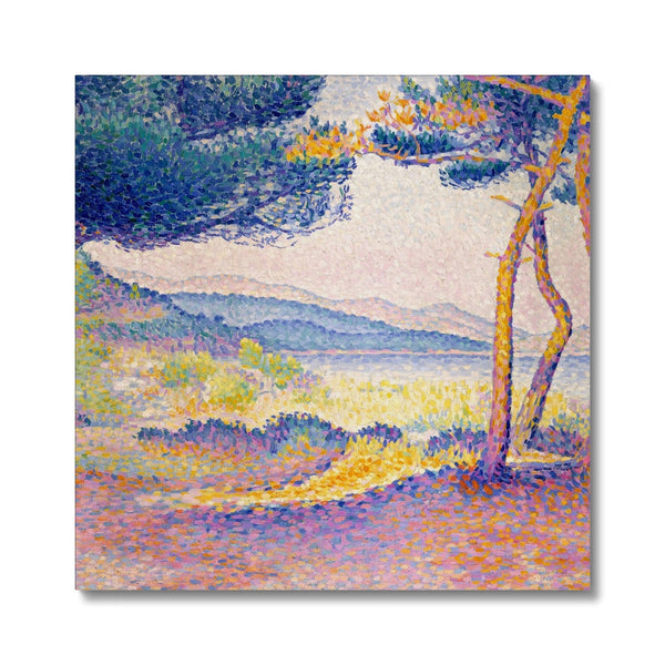 Pines Along the Shore Canvas