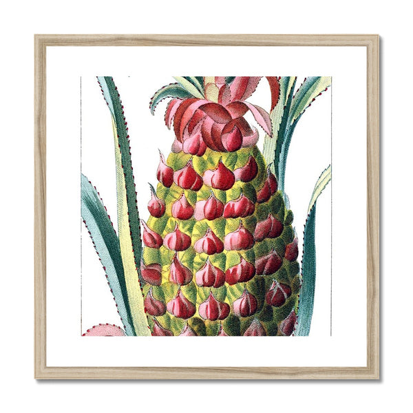 Pineapple Framed & Mounted Print