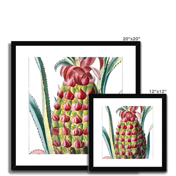 Pineapple Framed & Mounted Print