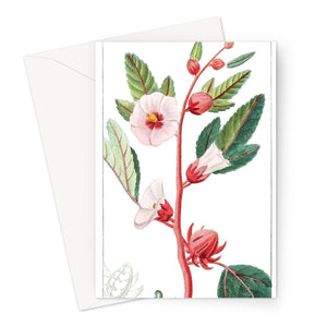 Roselle Greeting Card