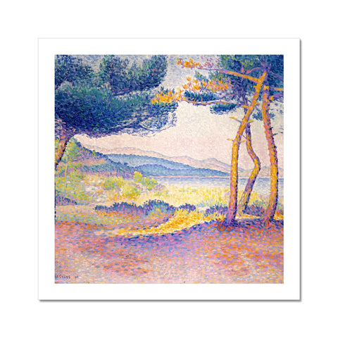 Pines Along the Shore Fine Art Print