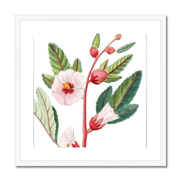 Roselle Framed & Mounted Print