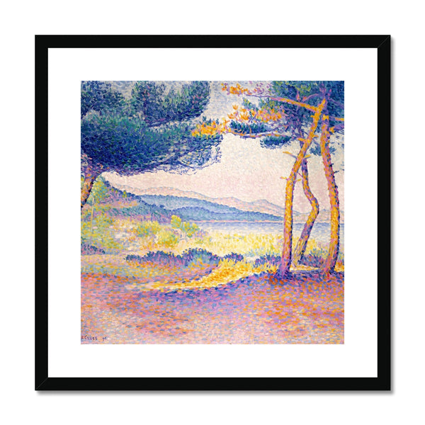 Pines Along the Shore Framed & Mounted Print