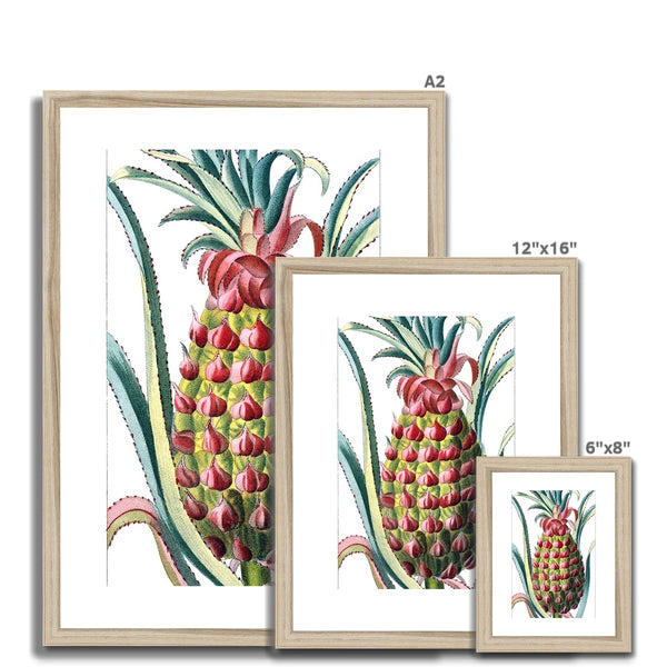 Pineapple Framed & Mounted Print