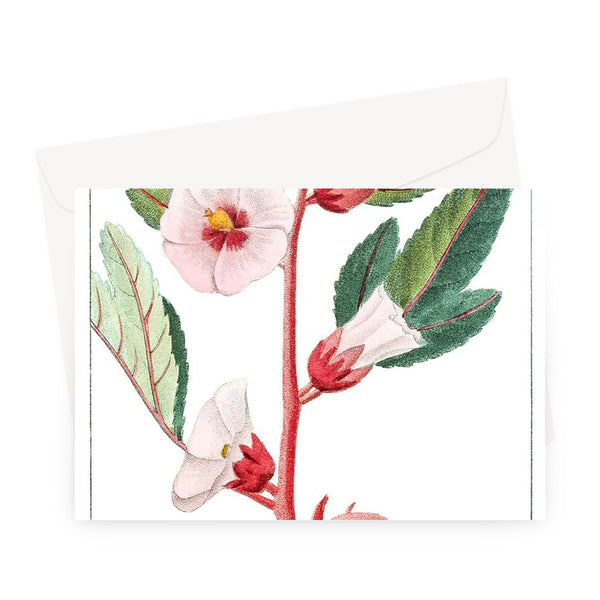 Roselle Greeting Card