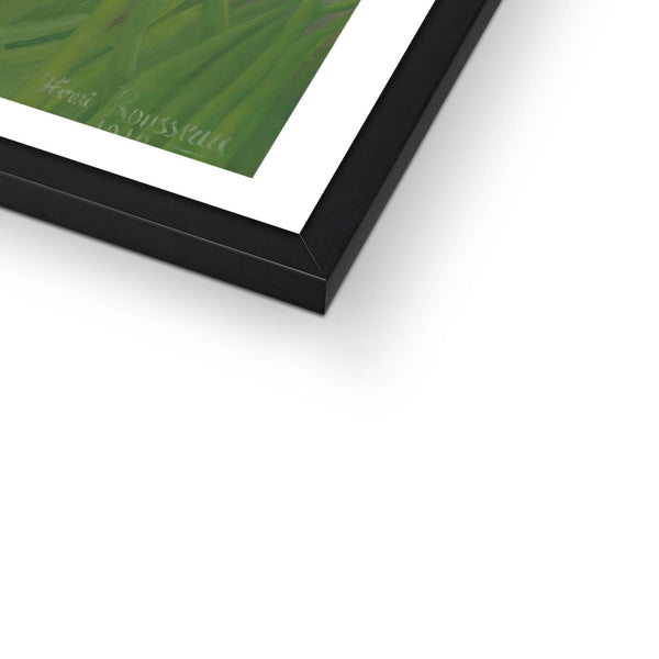 Tropical Forest & Monkeys Framed Print