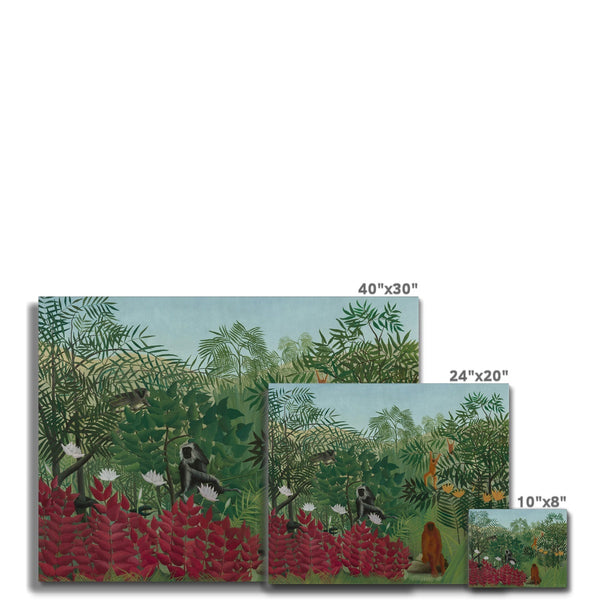 Tropical Forest & Monkeys Canvas