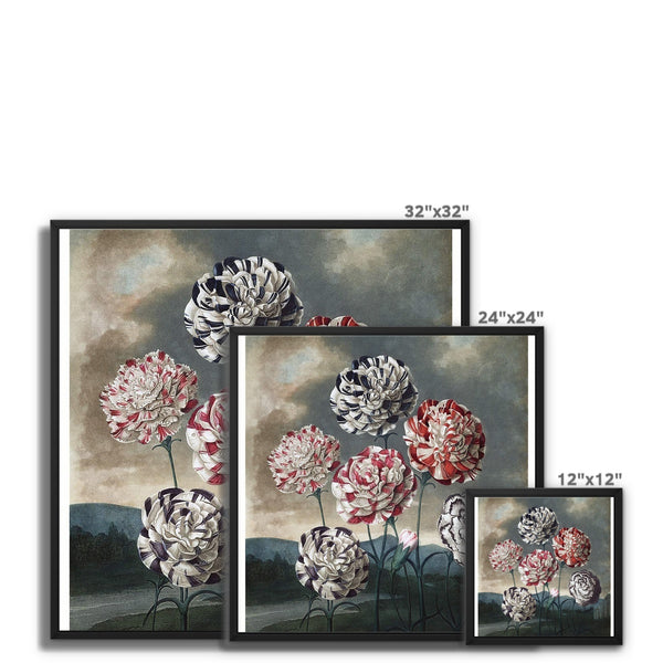 Carnations Framed Canvas